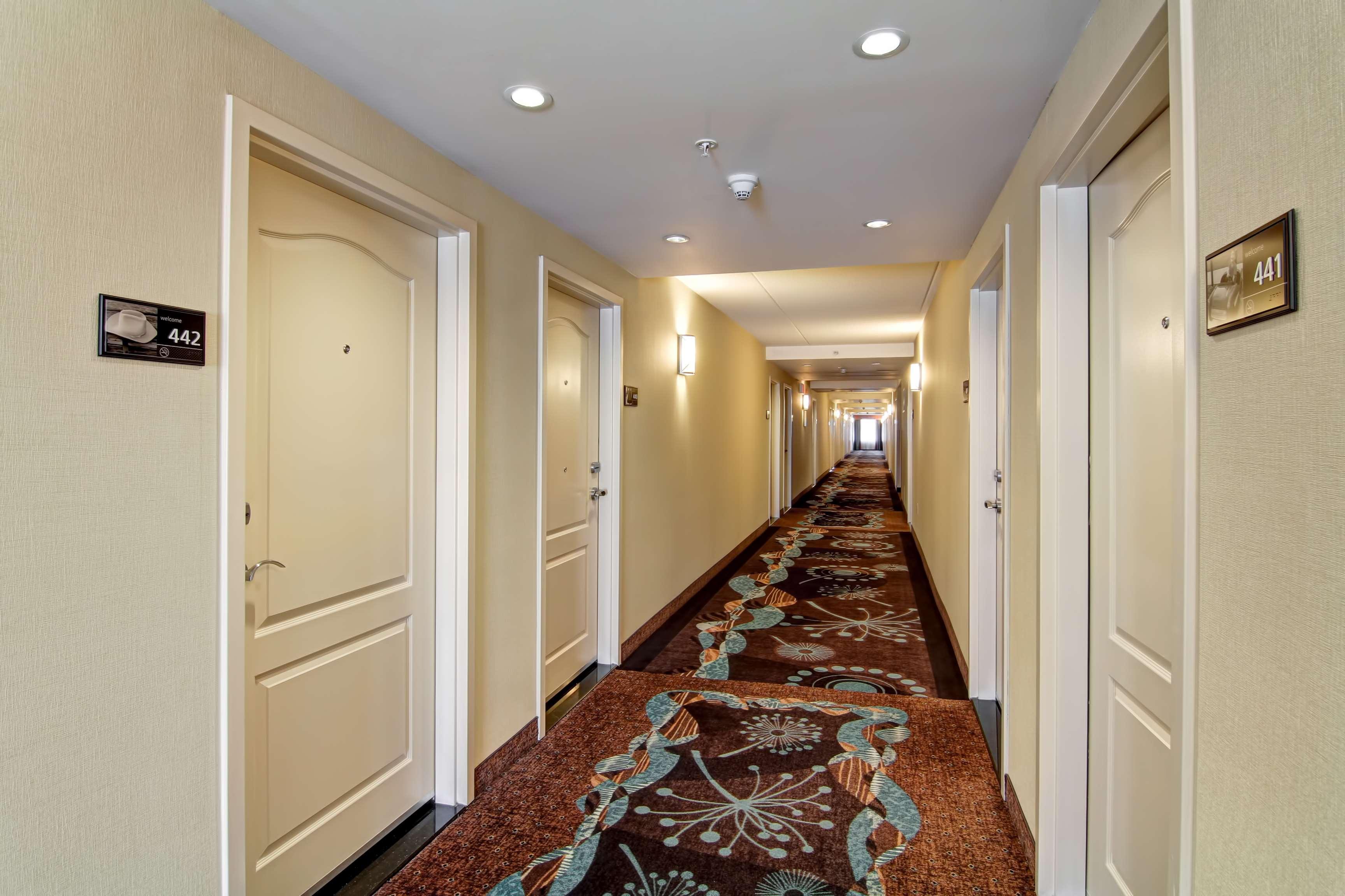 Hampton Inn By Hilton Toronto Airport Corporate Centre Exteriör bild
